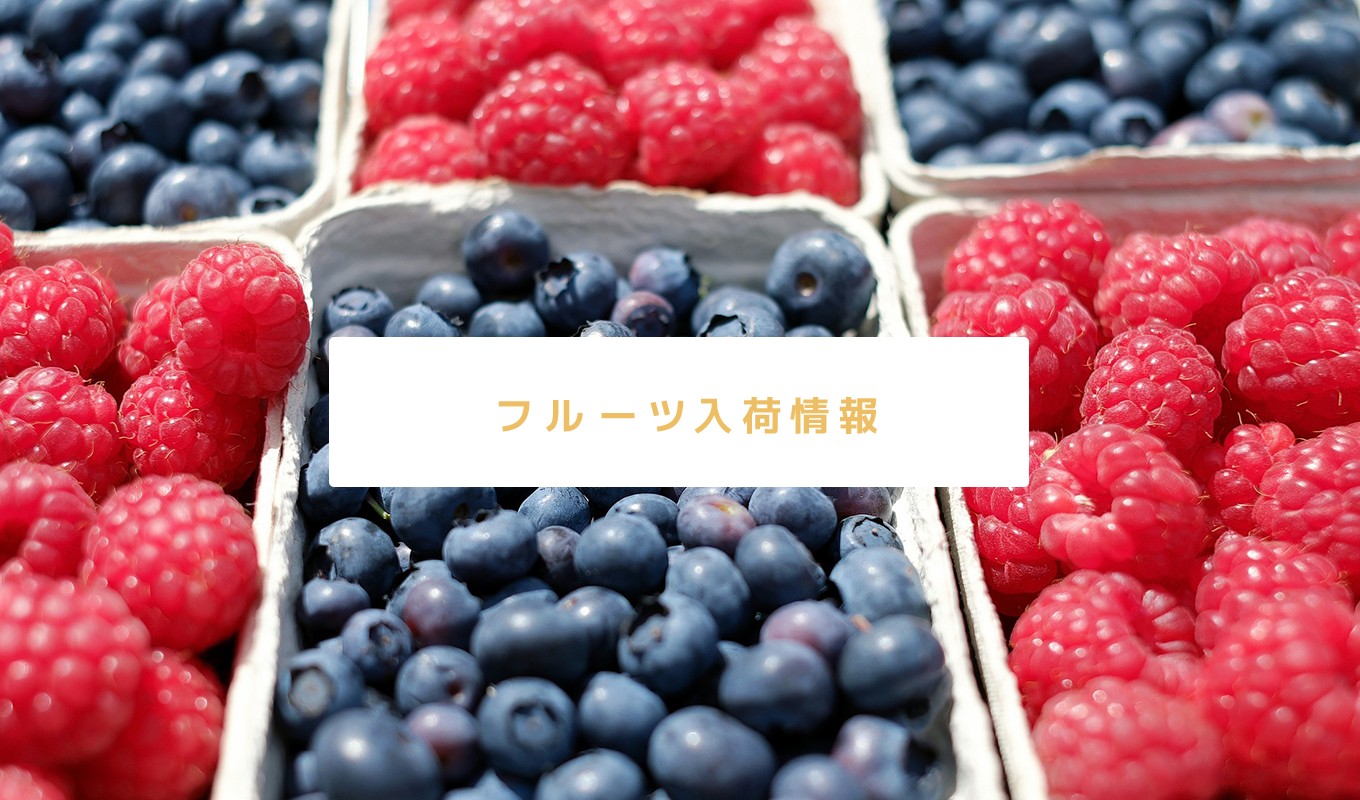 フルーツ入荷情報