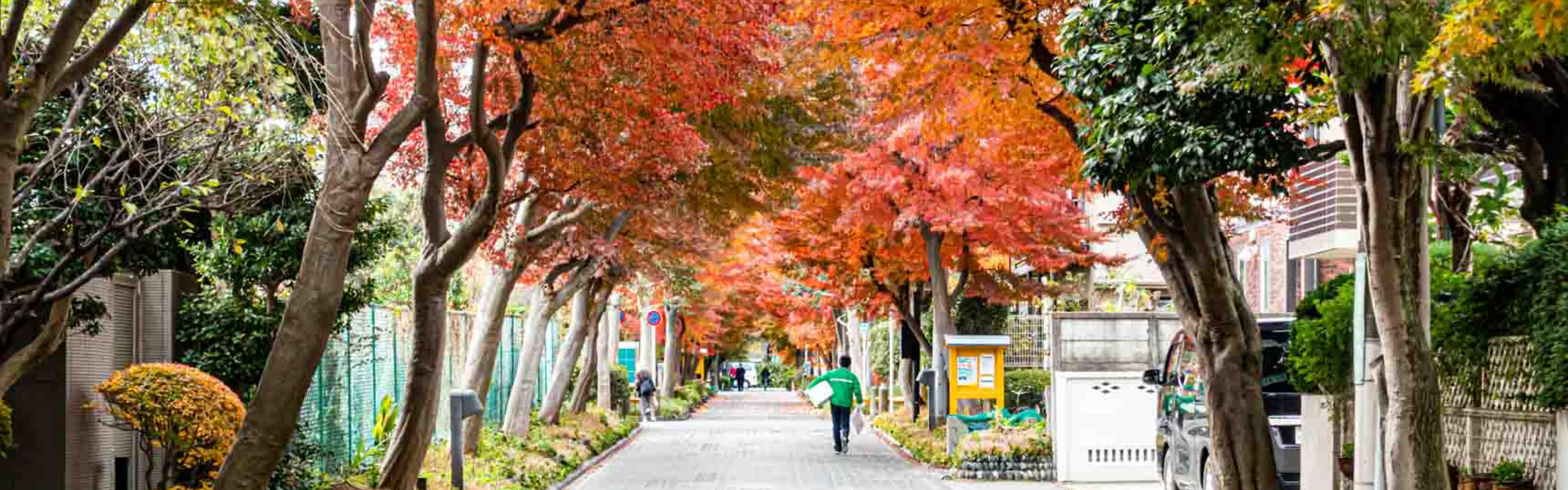 ロケーションタイトル