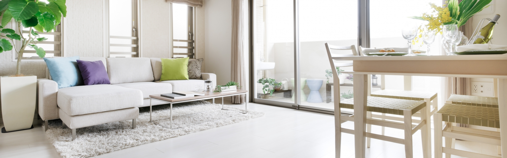 プランタイトル